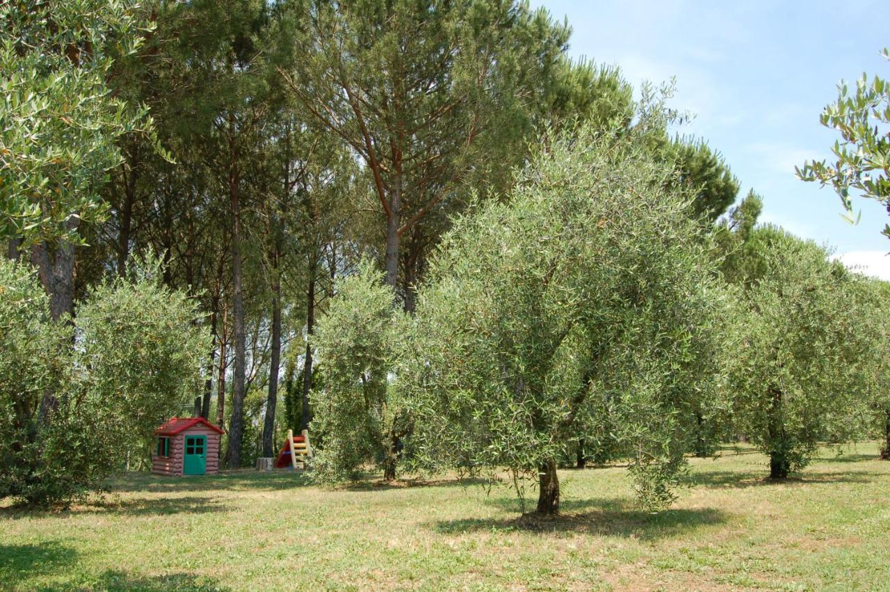 Agriturismo Il Selvino Terricciola Экстерьер фото