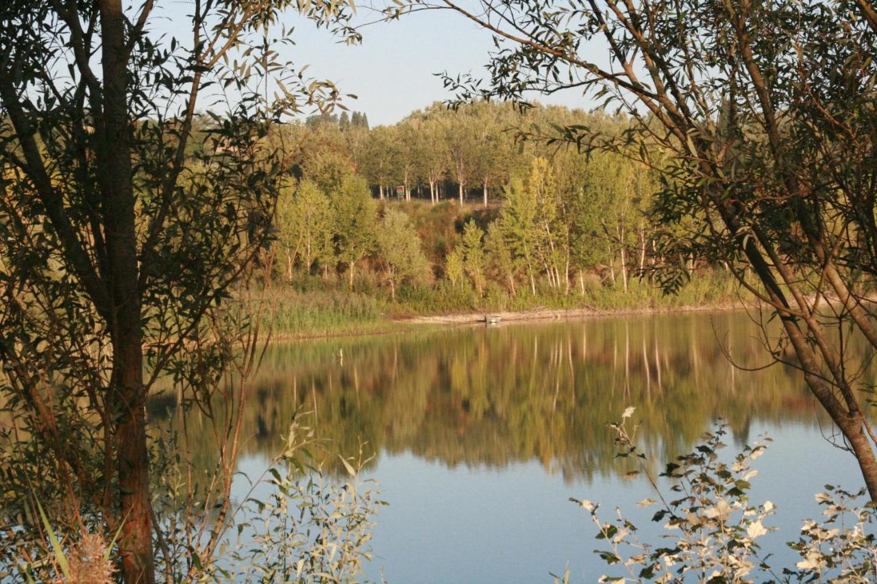 Agriturismo Il Selvino Terricciola Экстерьер фото